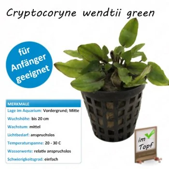 bachflohkrebse202607231420523093959