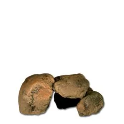 bachflohkrebse202607231421283094014