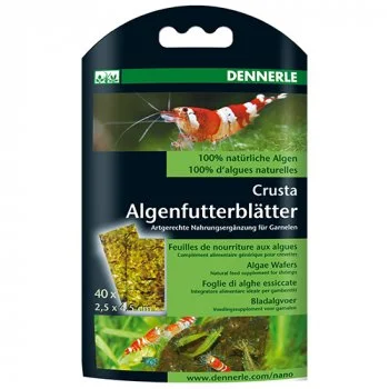 bachflohkrebse202607231423163094189