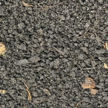 bachflohkrebse202607231423333094225