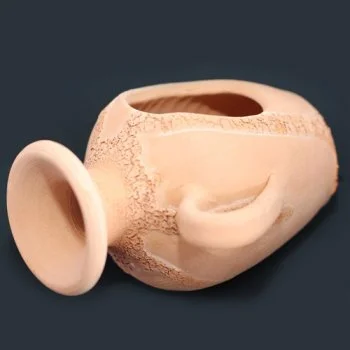 bachflohkrebse202607231425183094429