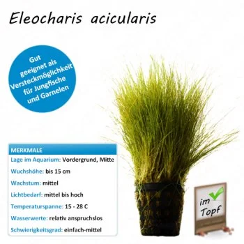 bachflohkrebse202607231438473096474