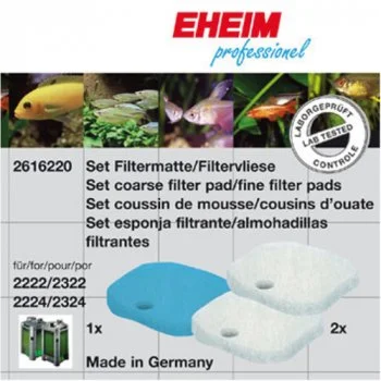 bachflohkrebse202607231441123096802