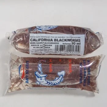 bachflohkrebse202607231444363097267