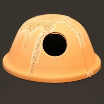 bachflohkrebse202607231446483097554