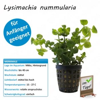 bachflohkrebse202607231448593097824