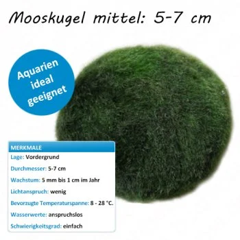 bachflohkrebse202607231511133099172