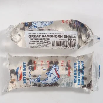 bachflohkrebse202607231514593099567