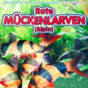 bachflohkrebse202607231517563099857