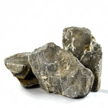 bachflohkrebse202607231520333100085