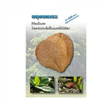 bachflohkrebse202607231520483100110