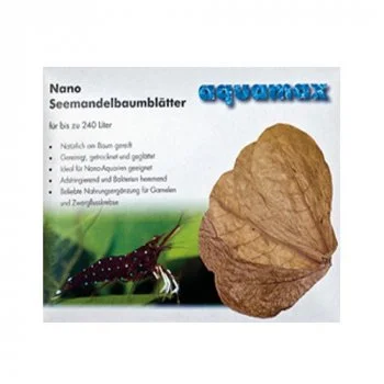 bachflohkrebse202607231521023100129