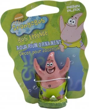bachflohkrebse202607231531573101099