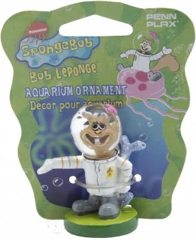 bachflohkrebse202607231532123101124