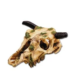 bachflohkrebse202607231544233102293