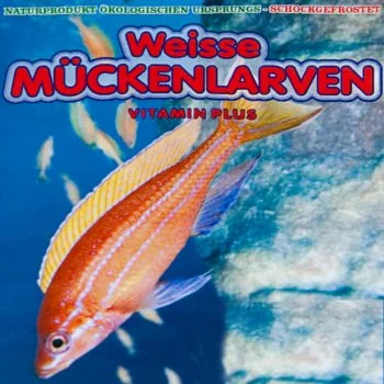bachflohkrebse202607231546243102555