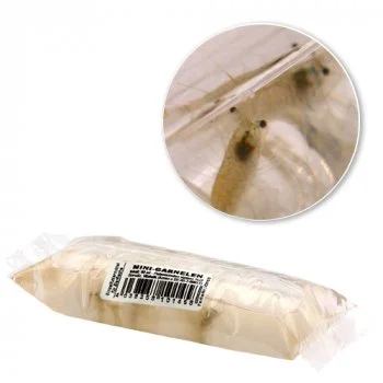 bachflohkrebse202607231549083102920