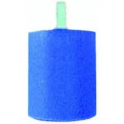 bachflohkrebse202607231556233103773