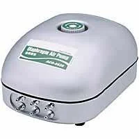 bachflohkrebse202607231604343104635