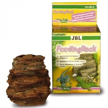 bachflohkrebse202607231613313105520