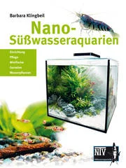bbhandel202607251432133367888