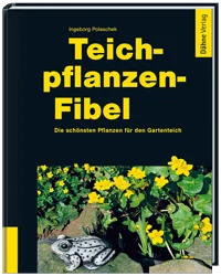 bbhandel202607251433143367939