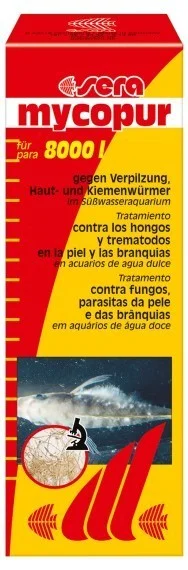 bbhandel202607251447163368829