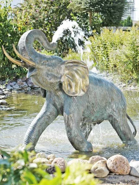 der-gartenteich202607231426493094625