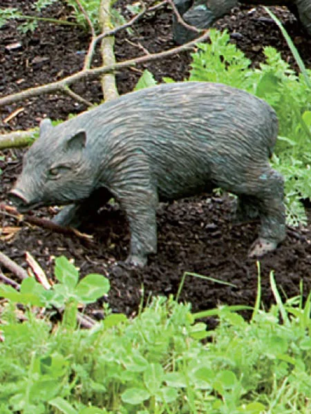 der-gartenteich202607231427123094676