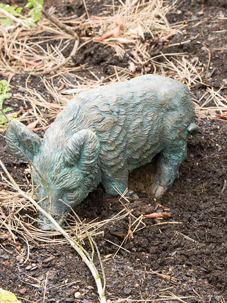 der-gartenteich202607231427253094706