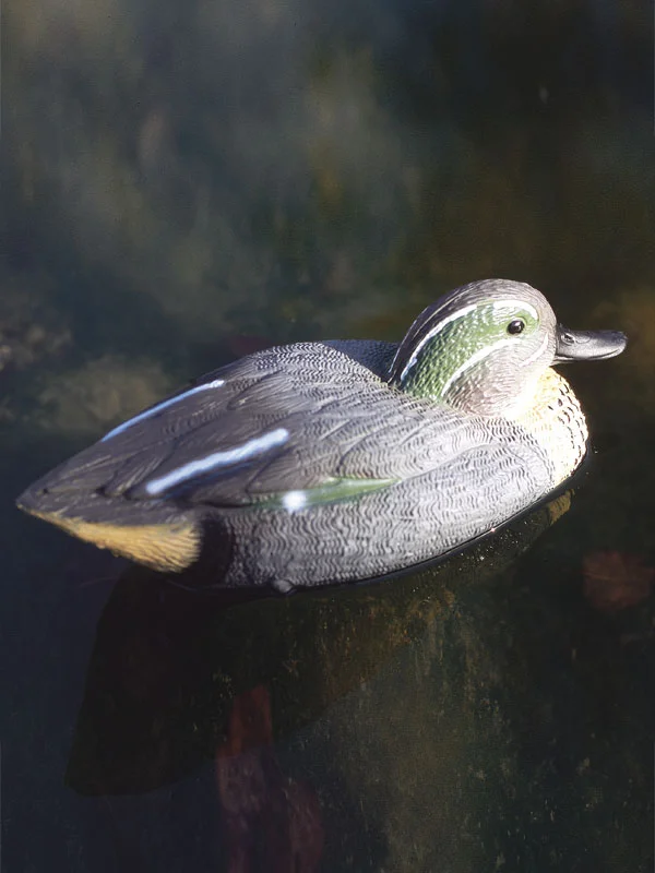 der-gartenteich202607231433133095592