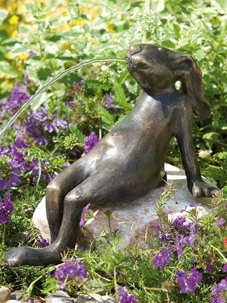 der-gartenteich202607231444183097225