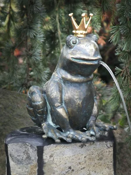 der-gartenteich202607231510473099125