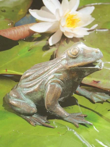 der-gartenteich202607231510483099128