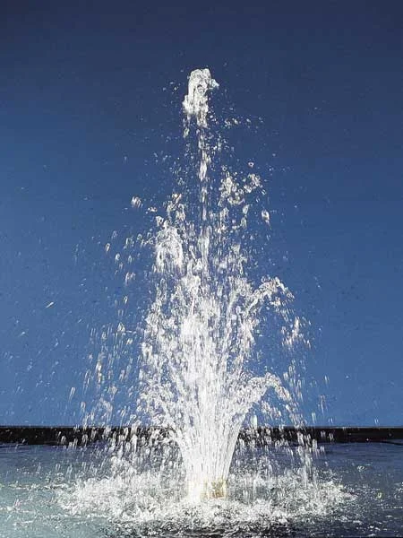 der-gartenteich202607231514103099480