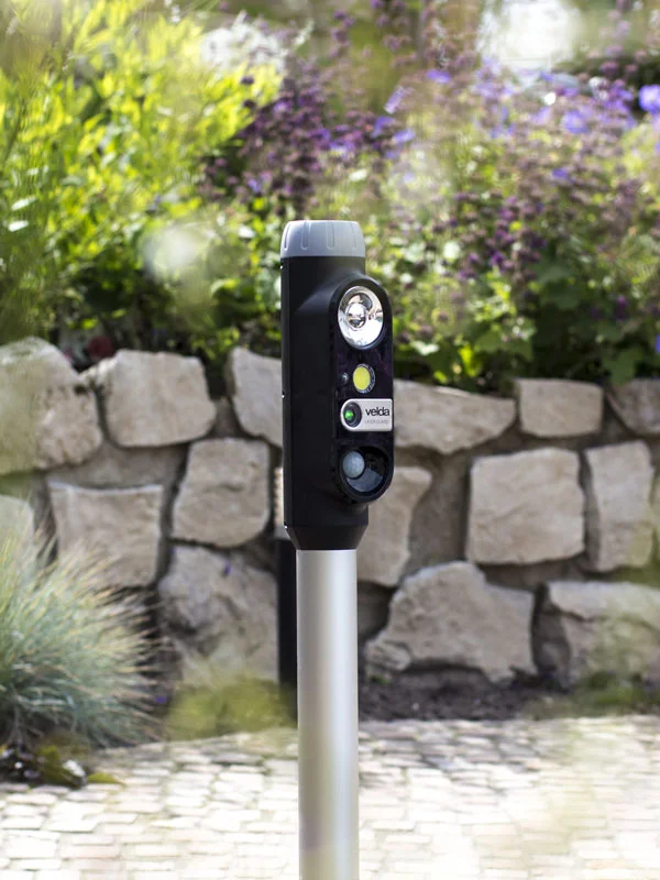 der-gartenteich202607231523013100305