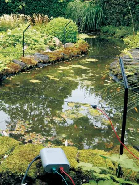 der-gartenteich202607231538523101732