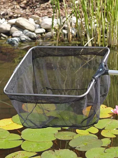 der-gartenteich202607231542503102119