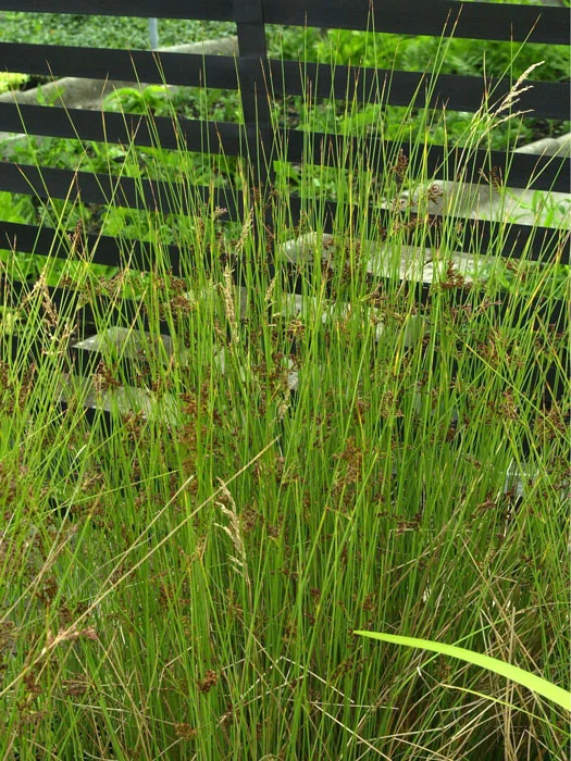 der-gartenteich202607231544083102272