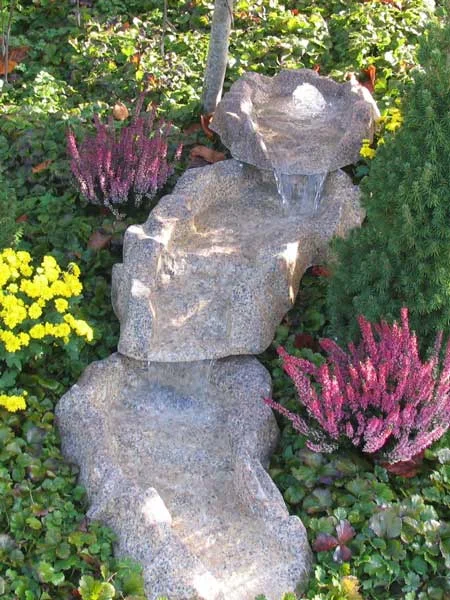der-gartenteich202607231821103116442