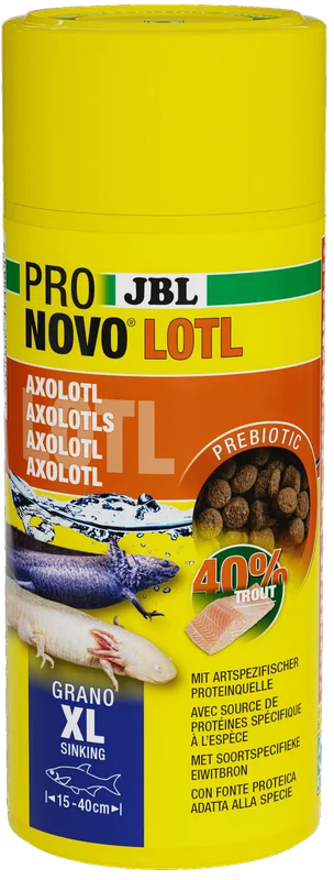 garnelio202607231921243121058
