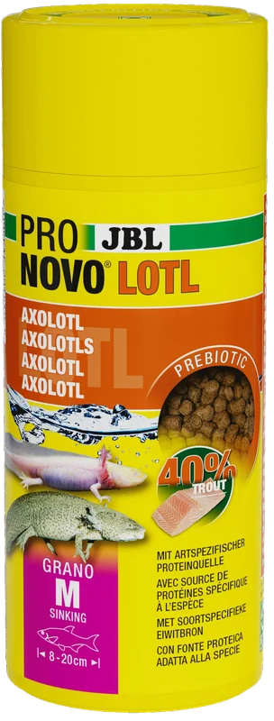 garnelio202607232132563131020