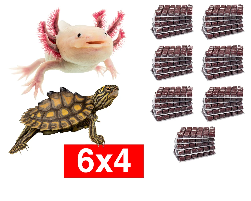 garnelio202607240039543146017