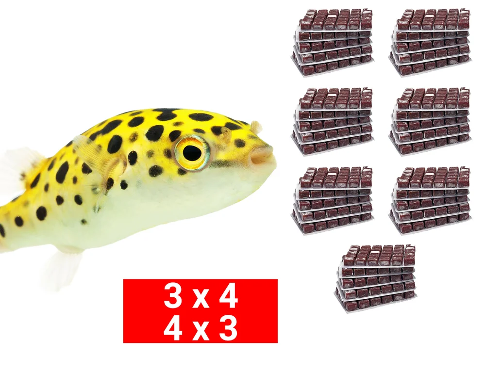 garnelio202607240105473148241