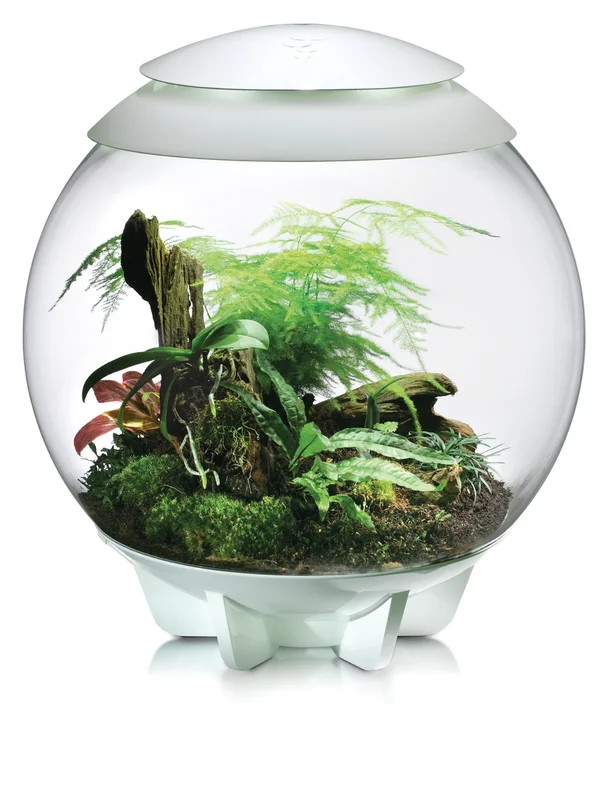 gartentechnik-hansen202607251350333364961