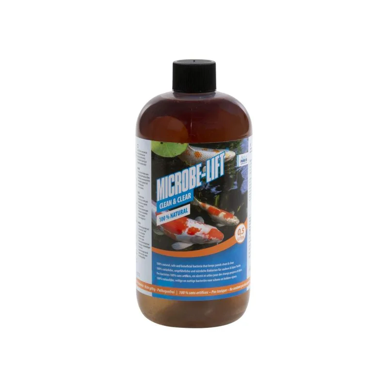 koi-boesche202607231426513094627