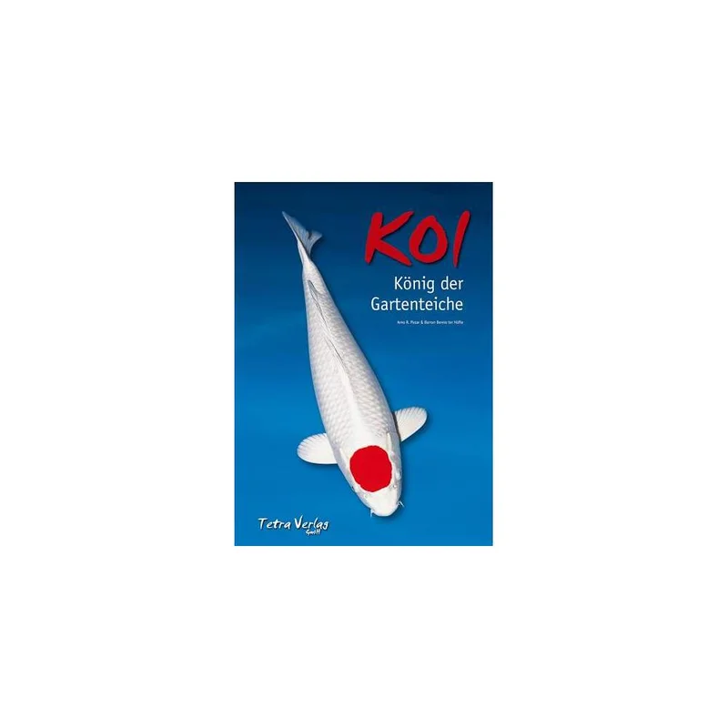 koi-boesche202607231439193096553