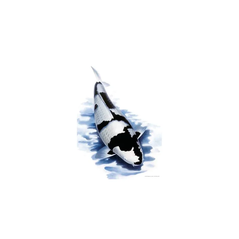 koi-boesche202607231528393100821