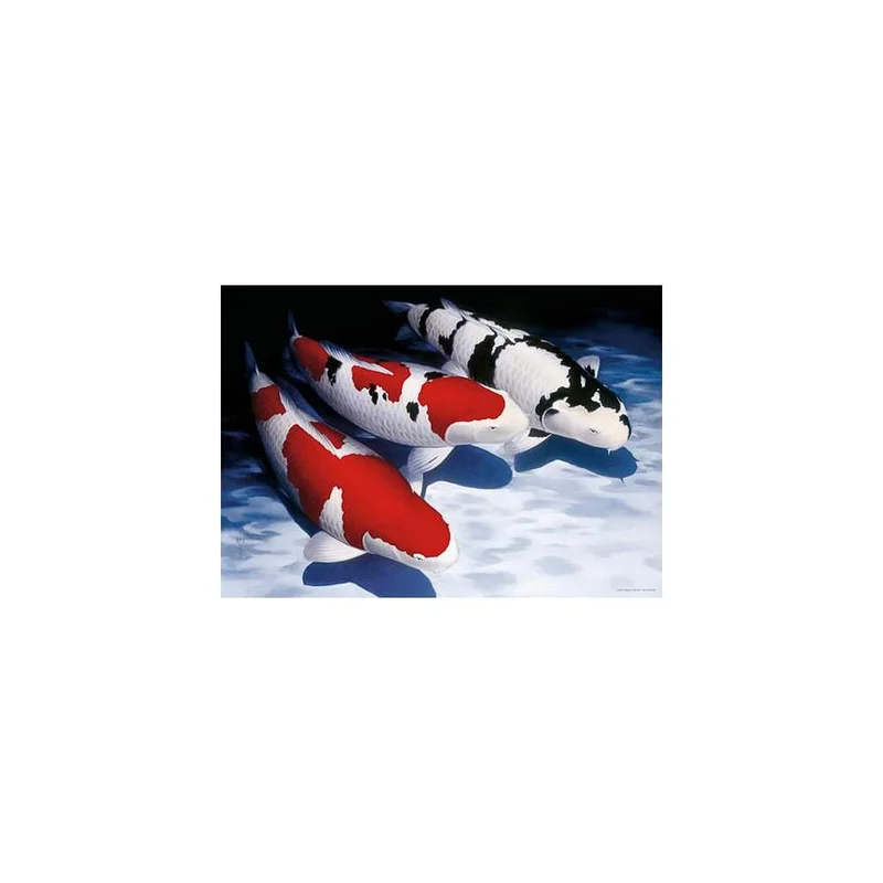 koi-boesche202607231528533100835