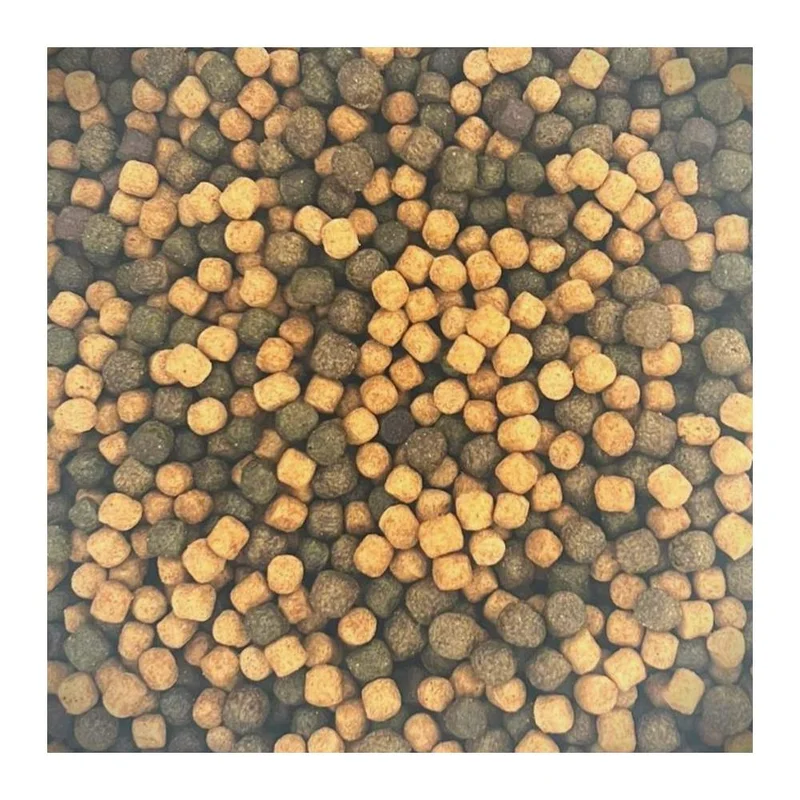koi-boesche202607231548373102843